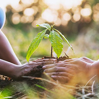Sustentabilidade